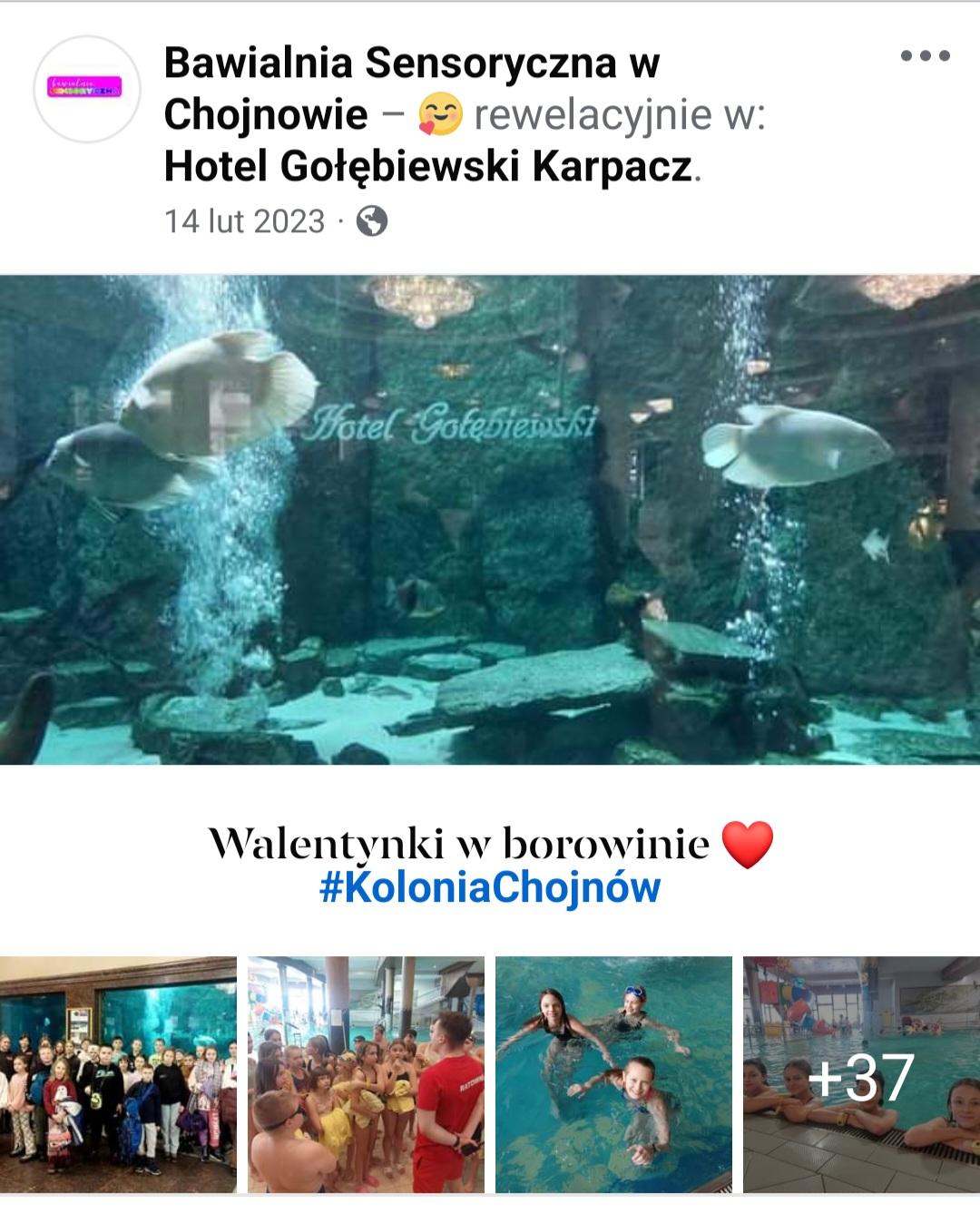 Hotel Gołębiowski, dzieci w basenie, duże akwarium z rybami, Zimowisko 