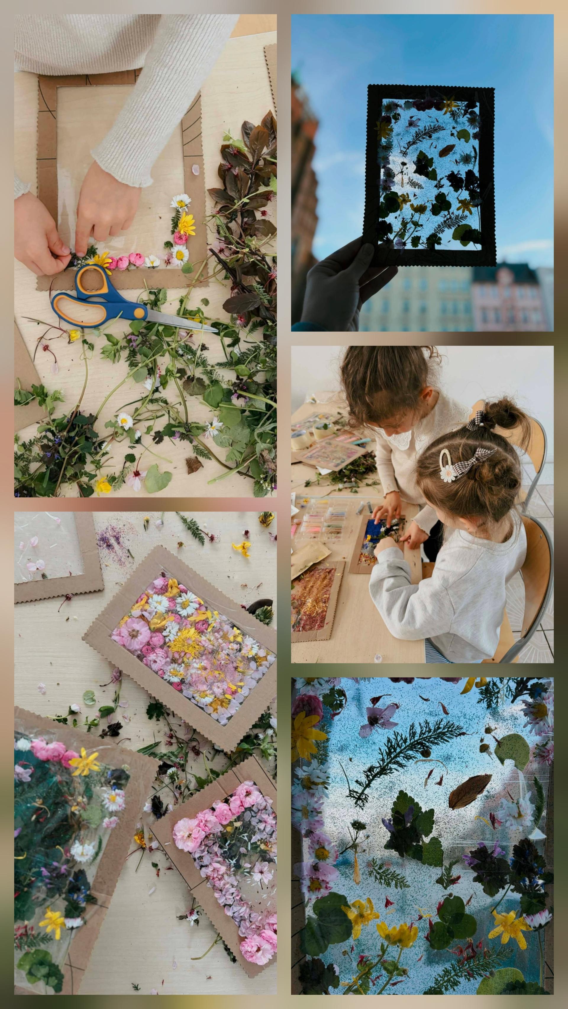 Ramki i suszone kwiaty, rączki  dzieci. Zajęcia edukacyjne dla dzieci w Chojnowie.
Zajecia kreatywne da dzieci w Chojnowie.